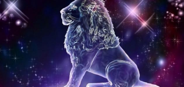 مواصفات أنثى الأسد