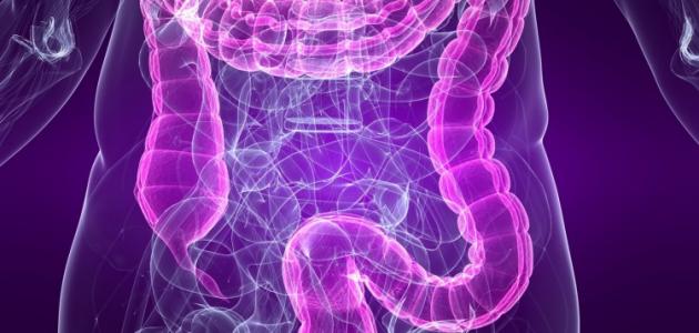 كيفية تنظيف القولون