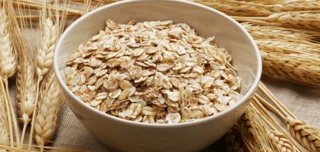 أهم 5 فوائد للشوفان