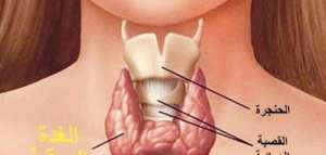 أين مكان الغدة الدرقية في جسم الإنسان