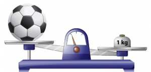 قانون الحجم والكتلة