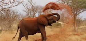 عجائب عن عالم الحيوان