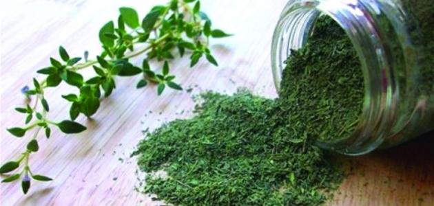 هل الزعتر يرفع ضغط الدم