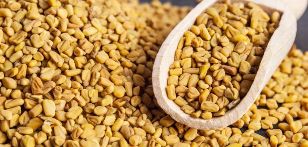 فوائد الحلبة للبشرة كقناع