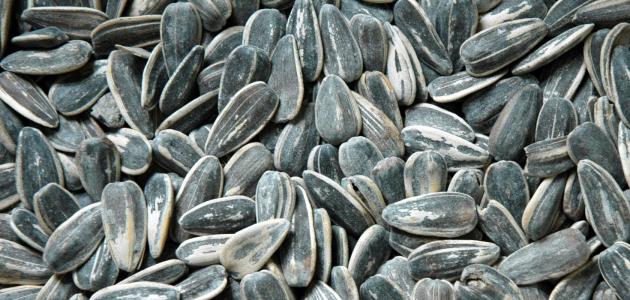 فوائد لب عباد الشمس وأضراره