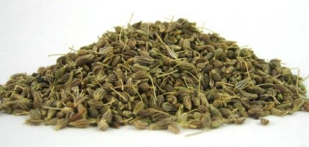 هل اليانسون يضر الرضيع