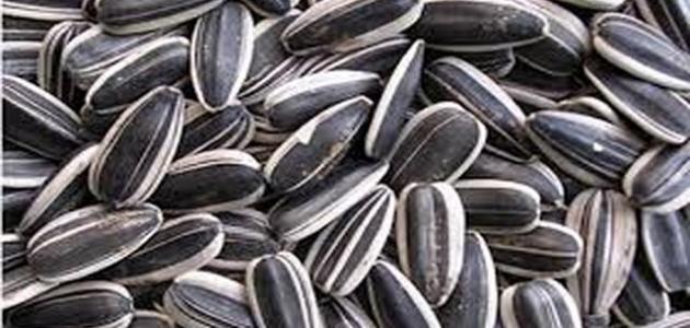 فوائد بذور عباد الشمس للحامل