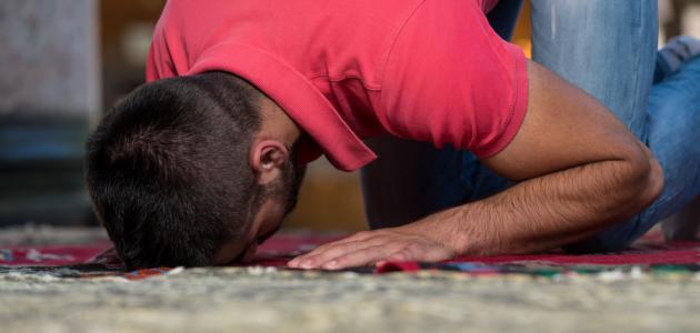 معنى سجود التلاوة