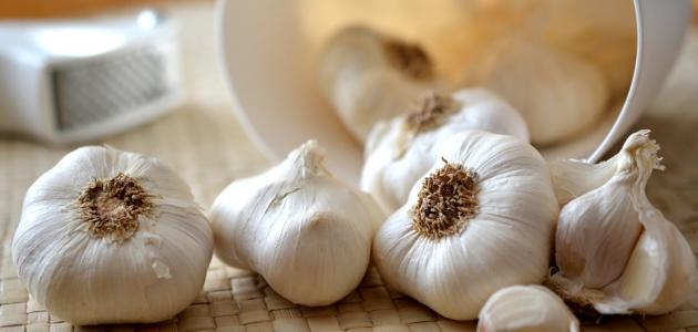فوائد الثوم في علاج البواسير