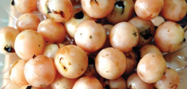 فوائد ثمرة البمبر