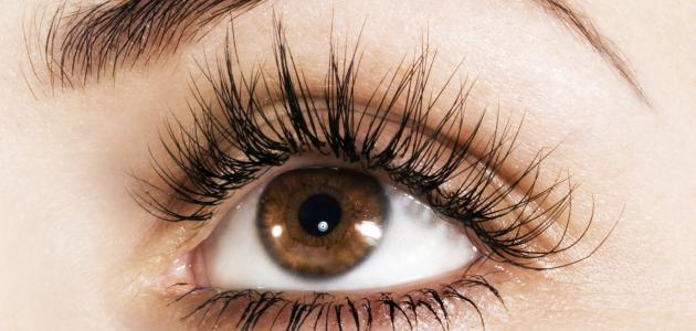 طريقة لتطويل الرموش في أسبوع