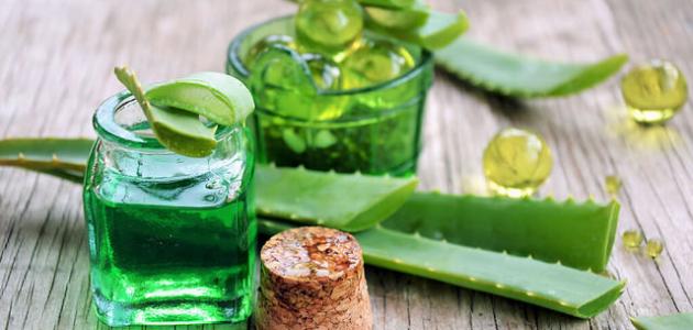 فوائد الصبار للشعر المتساقط