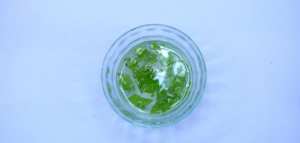 الصبار لليدين