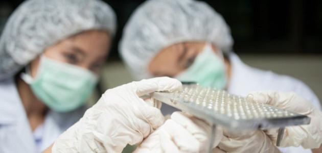 بحث عن مجالات العمل