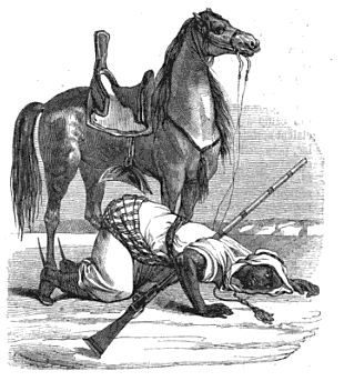 Les Douairs Tribu maghzen