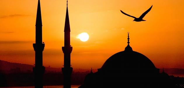 كم عدد زوجات الرسول