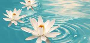 اجمل الحكم والاقوال