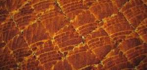 طريقة عمل البسبوسة بالقشطة