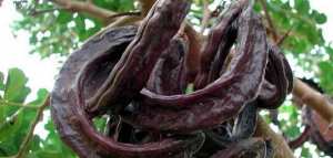 طريقة عمل عصير الخروب