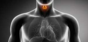 أعراض قصور الغدة الدرقية