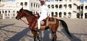 من أول من ركب الخيل