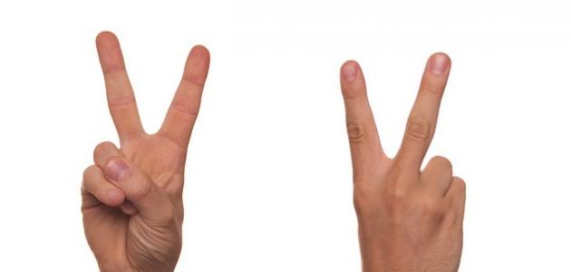 تعريف الشرك