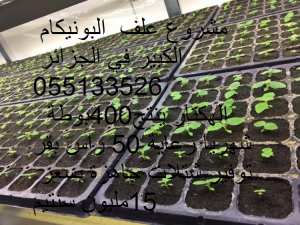 خدمات فلاحية