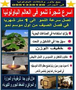 خدمات فلاحية