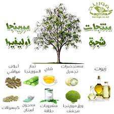 خدمات فلاحية