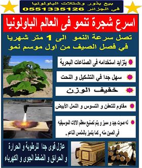 خدمات فلاحية