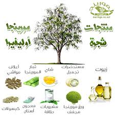 خدمات فلاحية