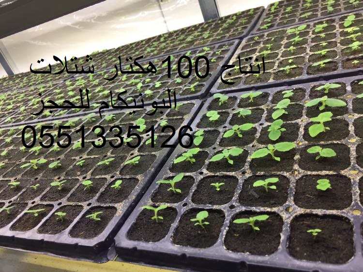 خدمات فلاحية