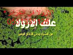 خدمات فلاحية