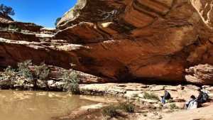 El Ghicha, Laghouat : une oasis pleine d'atouts..!