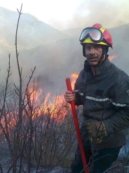 الثثروة الغابية والحيوانية تضيع فهل من منقذ!!!؟؟؟