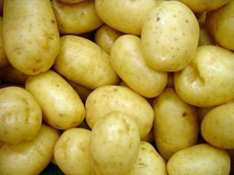 Une spéculation sans précédent                                    Pomme de terre à Biskra