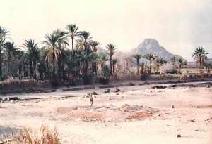 Tourisme à Ideles (Tamanrasset) : Un camping qui ne profite qu’aux démons du désert