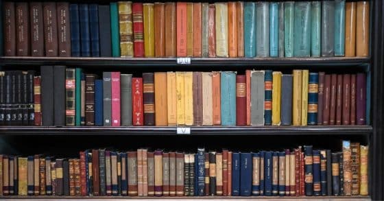 La Brautigan Library n'abrite que des manuscrits refusés par les éditeurs.