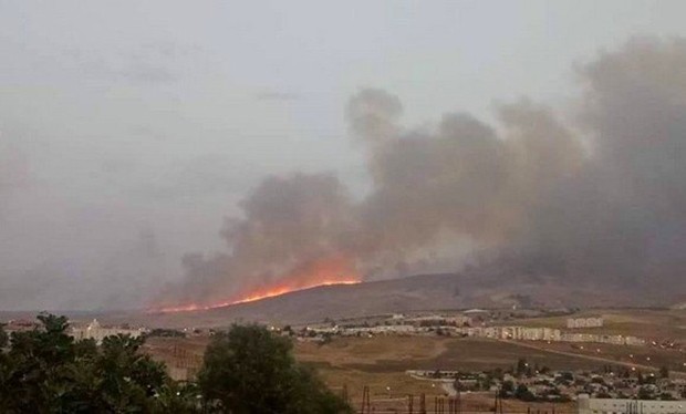 Ain Smara (Constantine) - Les feux ont repris à la forêt de Chettaba