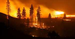 Planète - Face à l’intensité sans précédent des incendies en Sibérie, la Russie déclare l’état d’urgence