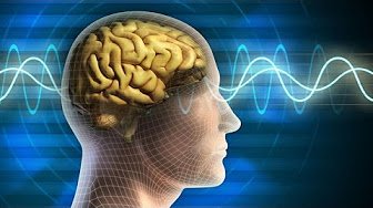 فلسفة العقل