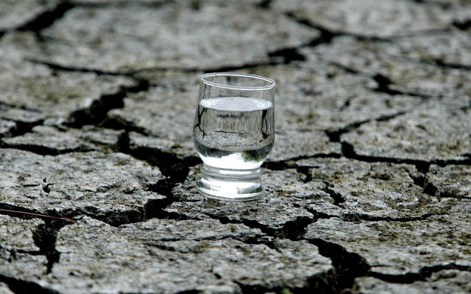 Planète - Sécheresse: déjà des dégâts irrémédiables en France