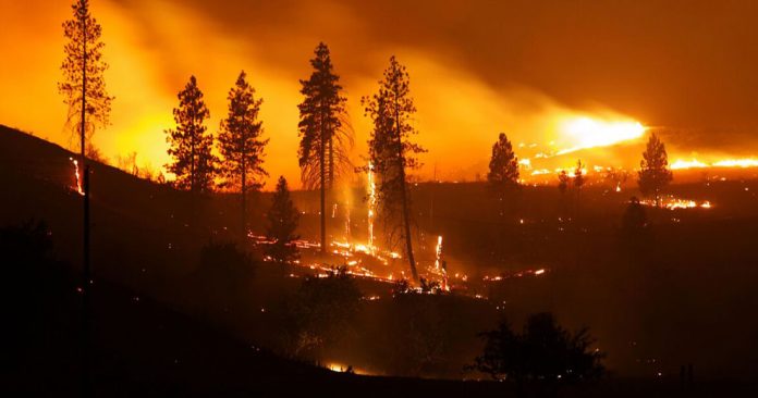 Planète - Face à l’intensité sans précédent des incendies en Sibérie, la Russie déclare l’état d’urgence