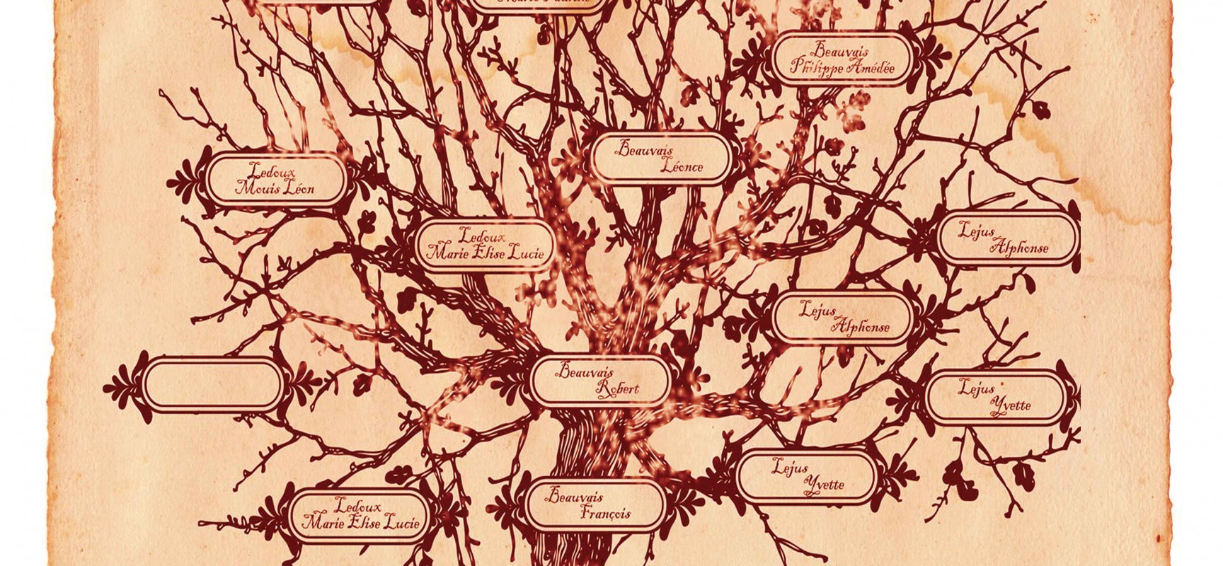 Quelques bonnes raisons de faire sa généalogie