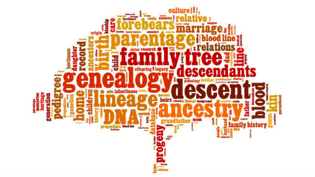 Généalogie : Jusqu'où peut-on espérer remonter ?