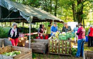 Planète - Aux Pays-Bas, des fermes d'un nouveau type face au défi climatique