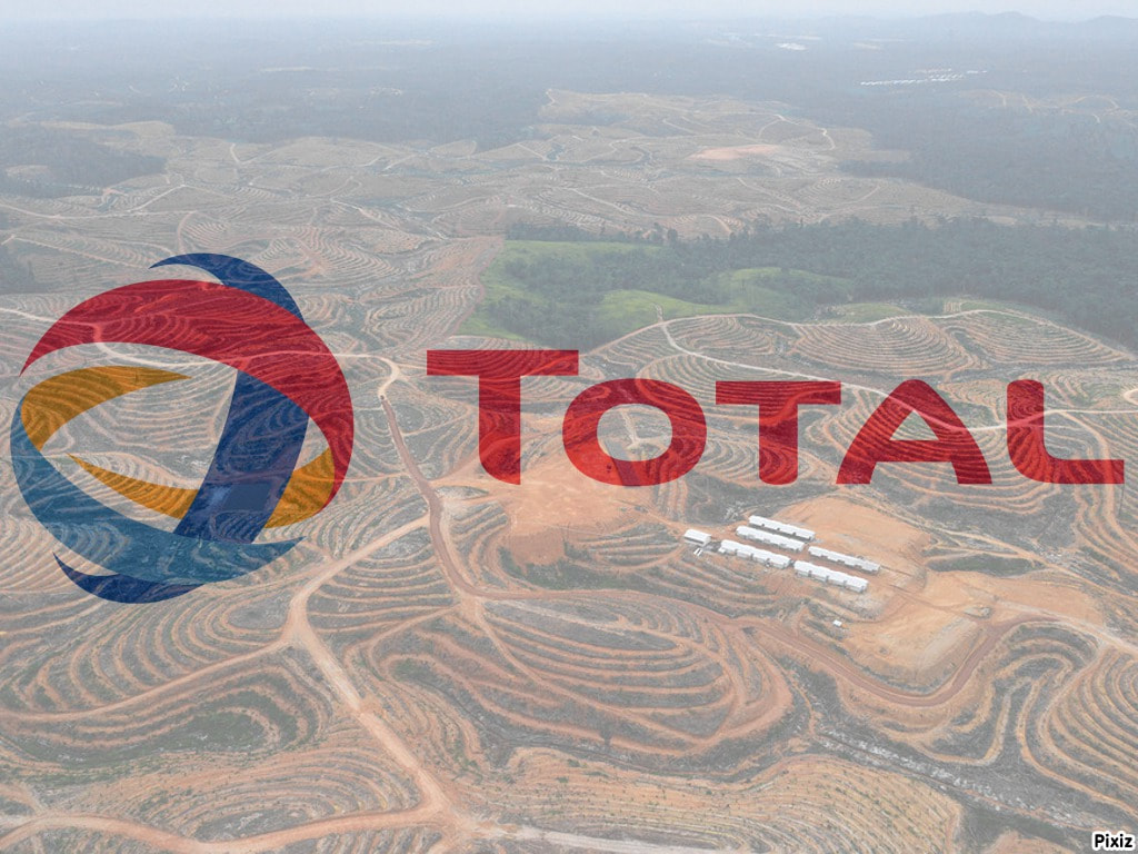 Planète - TOTAL SIGNE L'ARRÊT DE MORT DES FORÊTS INDONÉSIENNES