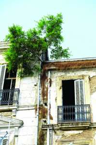 Les «jardins suspendus» de Skikda: Une avenue qui tombe en décrépitude