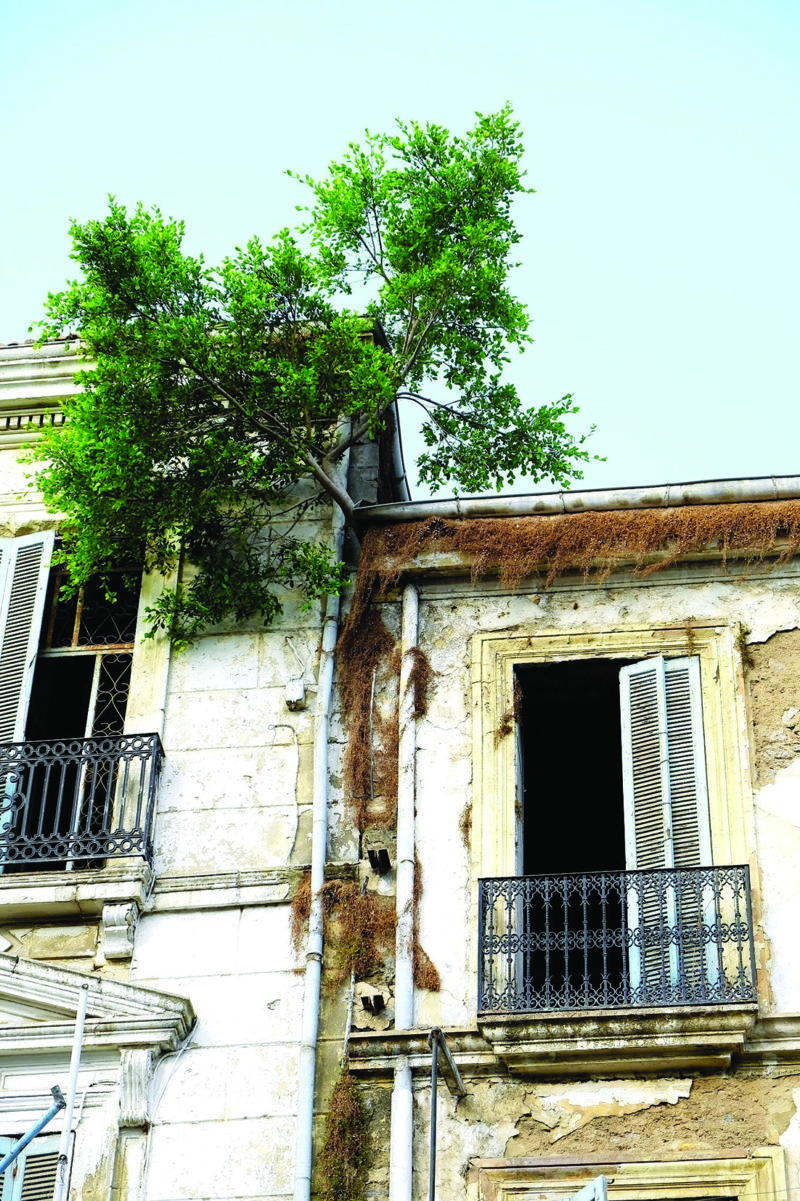 Les «jardins suspendus» de Skikda: Une avenue qui tombe en décrépitude