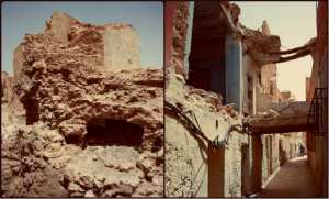 Ouargla: opération d’inventaire dans les régions d’Oued Mya et Oued-Righ